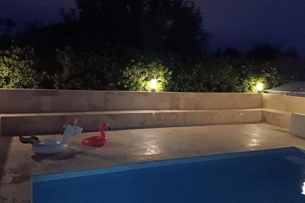 Charmant Studio Avec Piscine Villemoustaussou Dış mekan fotoğraf